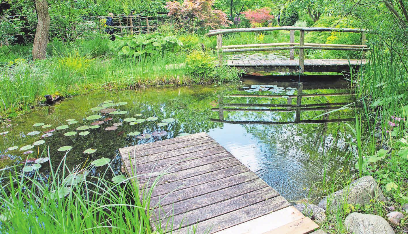 Mit einem Steg und einer Brücke setzen Gartenfans Akzente. Foto: Rainer Sturm, pixelio.de Mit einem Steg und einer Brücke setzen Gartenfans Akzente. Foto: Rainer Sturm, pixelio.de