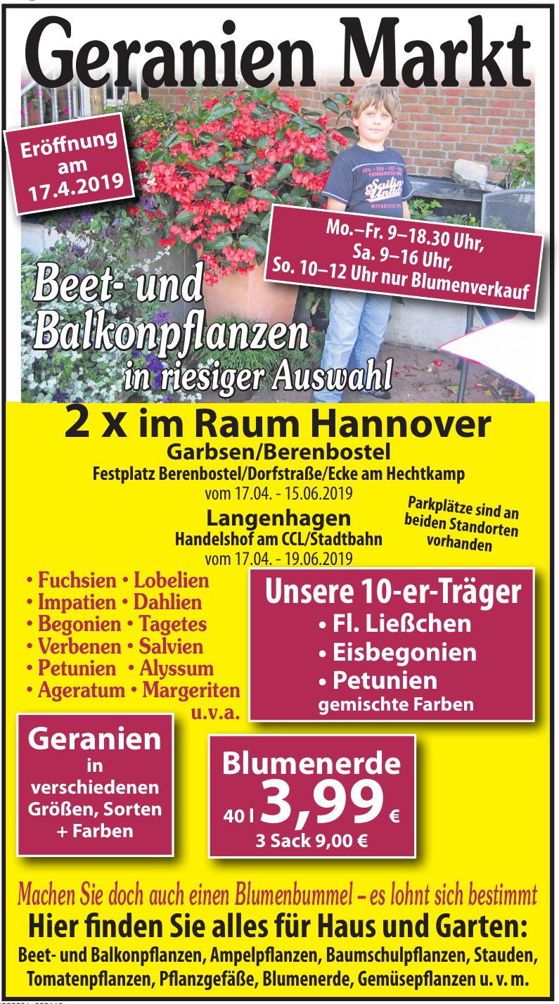 Geranien Markt Geranien Markt