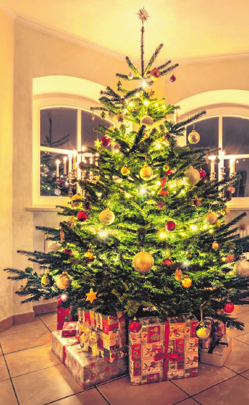 Warum Gibt Es Den Christbaum Wissenswertes Zu Weihnachten Rhon