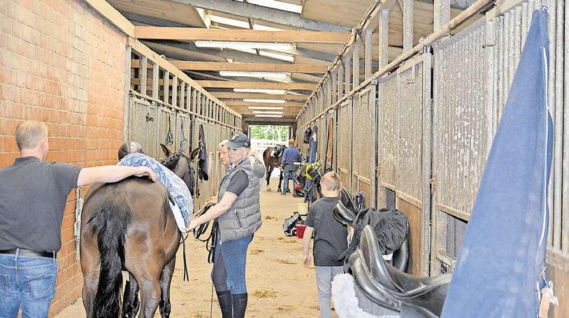 Viel Platz: Die großzügigen Stallungen bieten Interessierten noch freie Kapazitäten zum Unterstellen ihrer Pferde.