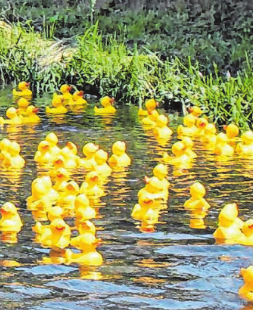 Auf Bilder wie dieses dürfen sich die hoffentlich zahlreichen Zuschauer freuen Auf Bilder wie dieses dürfen sich die hoffentlich zahlreichen Zuschauer freuen