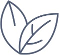 Mehr als 1/4 der Fläche von Sachsen-Anhalt ist Wald. Mehr als 1/4 der Fläche von Sachsen-Anhalt ist Wald.