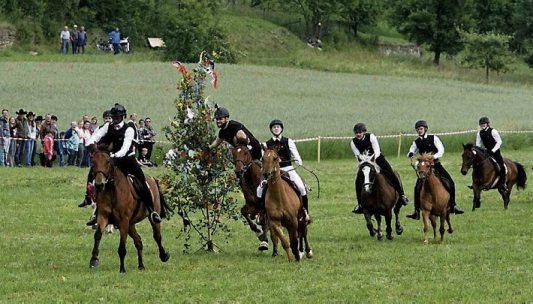 Eine alte Tradition ist der Wurmlinger Pfingstritt. Erstmals urkundlich 1852 erwähnt, findet er seit 1949 alle zwei Jahre am Pfingstmontag statt. Zwei Jahrgänge aus Wurmlingen tun sich dabei zusammen, und die mutigen jungen Männer des Fleckens versuchen in rasantem Ritt, den geschmückten Baum zu erhaschen. Bild: Privat Eine alte Tradition ist der Wurmlinger Pfingstritt. Erstmals urkundlich 1852 erwähnt, findet er seit 1949 alle zwei Jahre am Pfingstmontag statt. Zwei Jahrgänge aus Wurmlingen tun sich dabei zusammen, und die mutigen jungen Männer des Fleckens versuchen in rasantem Ritt, den geschmückten Baum zu erhaschen. Bild: Privat