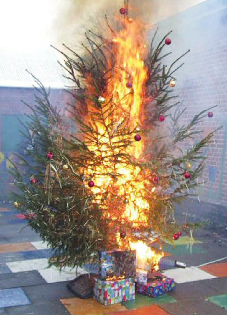 Schneller als man denkt, steht ein Weihnachtsbaum mit echten Kerzen lichterloh in Flammen. Deshalb ist Vorsicht geboten Foto: Deutscher Feuerwehrverband e. V.