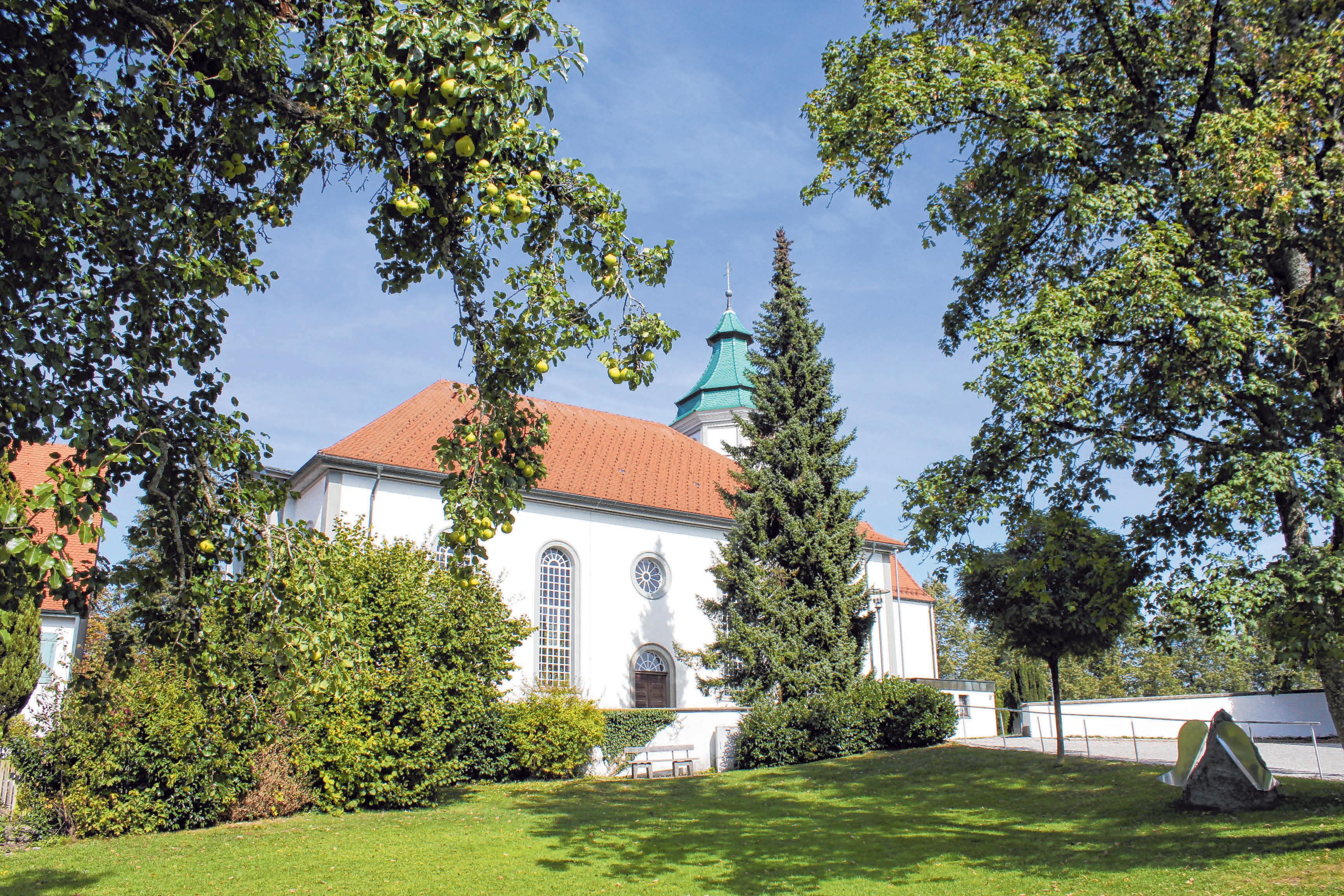 In Grünkraut ist gut feiern und schaffen Image 1 In Grünkraut ist gut feiern und schaffen Image 1