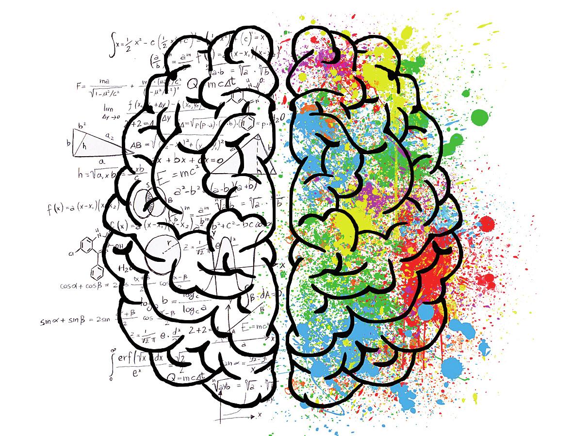 Das Gehirn kann durch neuronales Training gesund und fit gehalten werden. Fotos: Pixabay.com Das Gehirn kann durch neuronales Training gesund und fit gehalten werden. Fotos: Pixabay.com