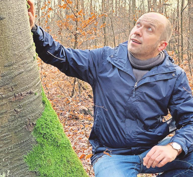 Dübener Heide: Waldbaden im Spätsommer mit Nico Fliegner