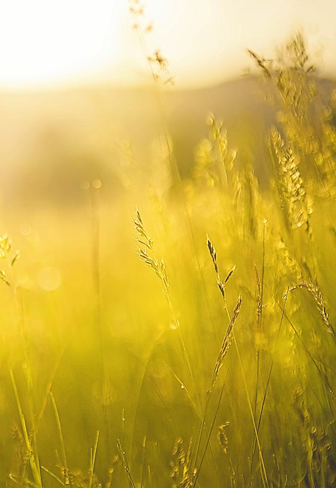 Mit offenen Augen durch die Natur Image 5 Mit offenen Augen durch die Natur Image 5