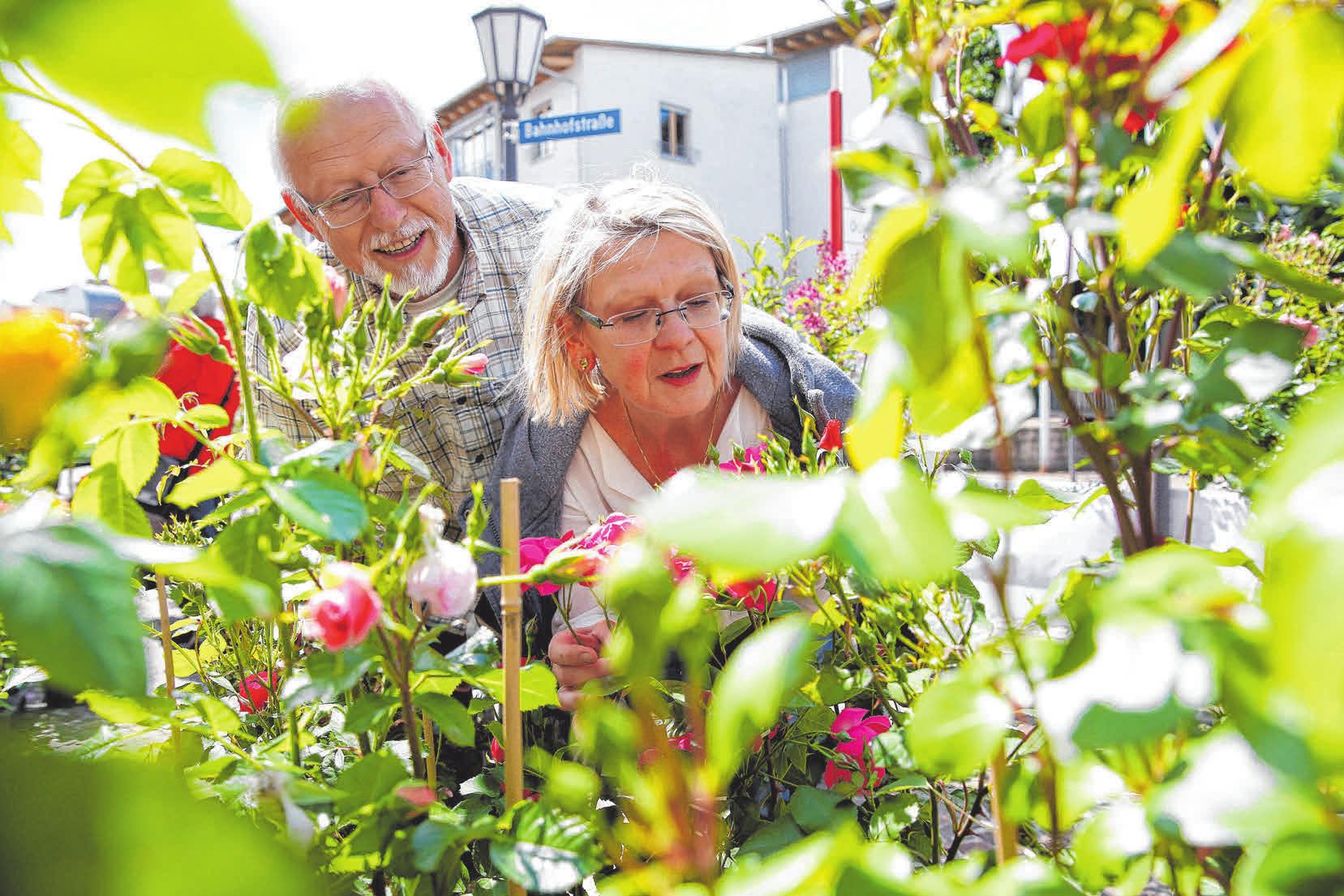 Es gibt viel zu erriechen, zu erschnuppern und zu sehen. FOTO: PRIVAT Es gibt viel zu erriechen, zu erschnuppern und zu sehen. FOTO: PRIVAT