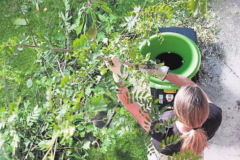Die breite Trichteröffnung moderner Gartenhäcksler schluckt selbst stark verzweigtes, buschiges Astwerk. Die breite Trichteröffnung moderner Gartenhäcksler schluckt selbst stark verzweigtes, buschiges Astwerk.