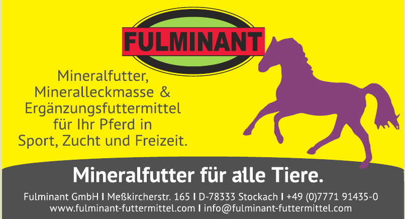 Fulminant GmbH Fulminant GmbH