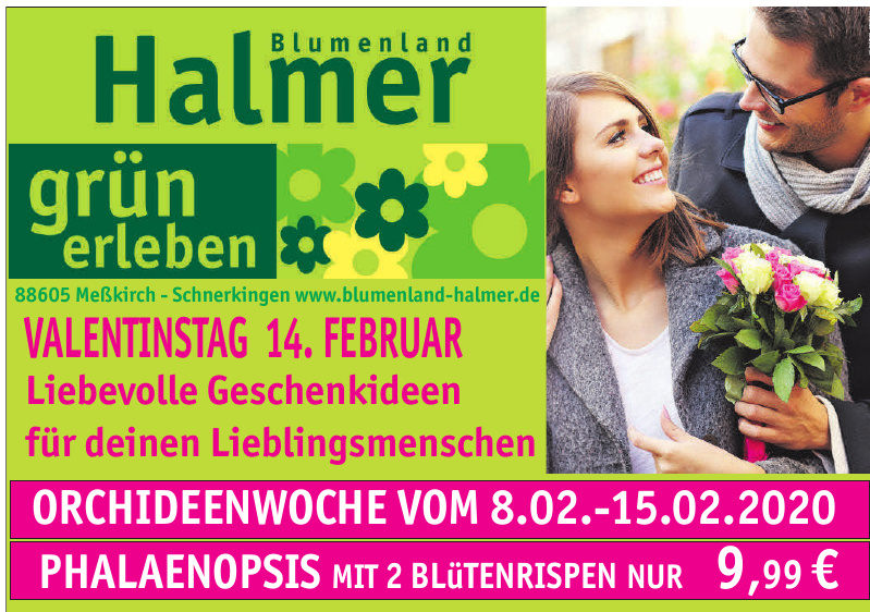 Blumenland Halmer Blumenland Halmer