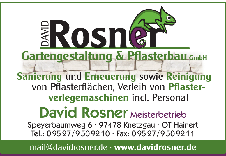 David Rosner David Rosner