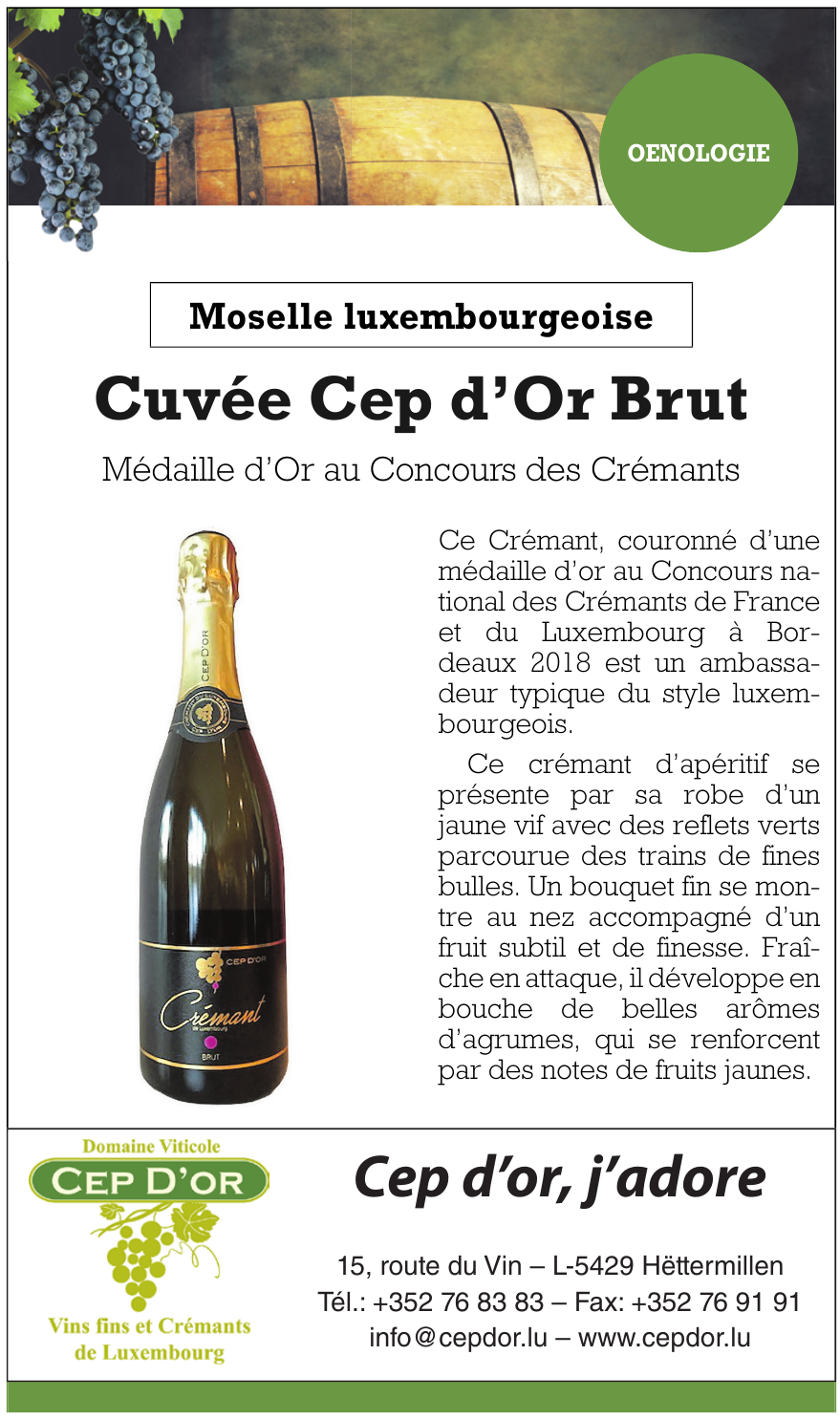 Cep d’or, j´adore