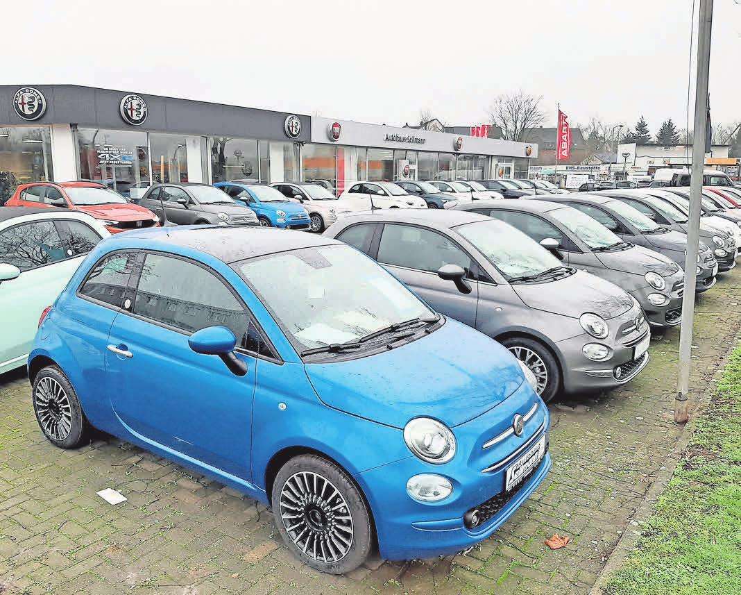 Auf dem Außengelände des Autohauses Sellmann kann man unter anderem den Fiat 500 anschauen. Auf dem Außengelände des Autohauses Sellmann kann man unter anderem den Fiat 500 anschauen.