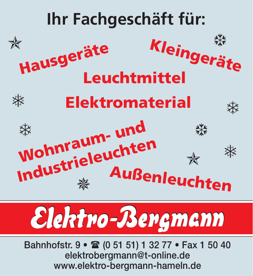 Elektro-Bergmann