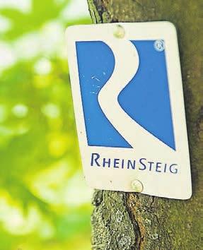 Gut markiert: der Rhein-Steig. Gut markiert: der Rhein-Steig.