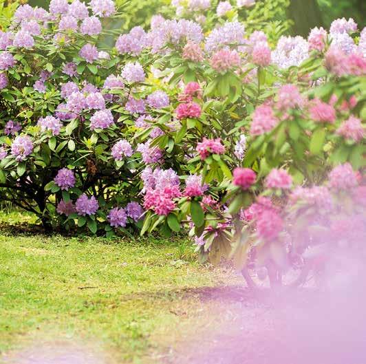 © arturkurjan/123RF © arturkurjan/123RF