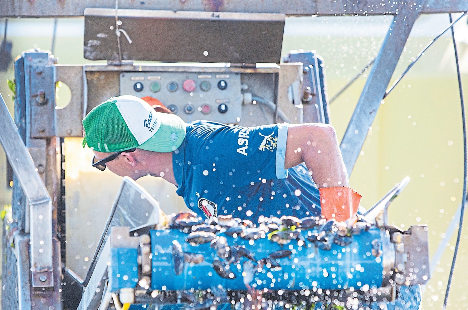 Bereits an Bord werden die Muscheln grob vorgewaschen. Mitgefangene Fische und Krabben werden wieder ins Meer geworfen.