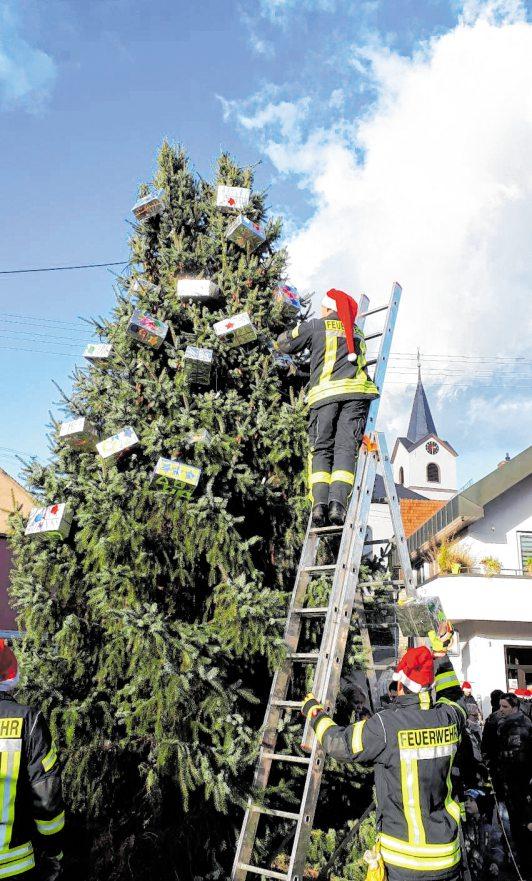 Das Fest in Unterbalbach beginnt traditionell mit dem Schmücken des Christbaums in der Ortsmitte. BILD: GEMEINDE UNTERBALBACH
