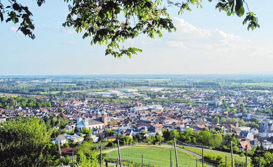 Die Lieblings-Joggingstrecke der Webers führt über den Kirchberg – von dort genießen sie regelmäßig den Blick auf die Stadt. | Bild: Thomas Neu Die Lieblings-Joggingstrecke der Webers führt über den Kirchberg – von dort genießen sie regelmäßig den Blick auf die Stadt. | Bild: Thomas Neu