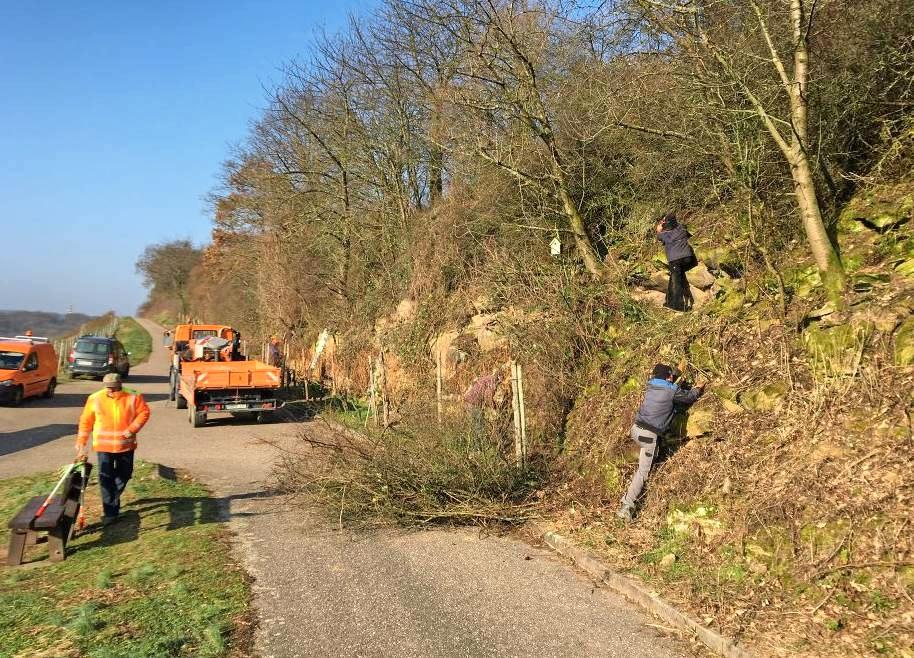 Alle, die etwas für den Erhalt der Natur tun wollen, können am Sonntag, 23. Februar, beim vierten Landschaftspflegetag mithelfen. Foto: privat Alle, die etwas für den Erhalt der Natur tun wollen, können am Sonntag, 23. Februar, beim vierten Landschaftspflegetag mithelfen. Foto: privat