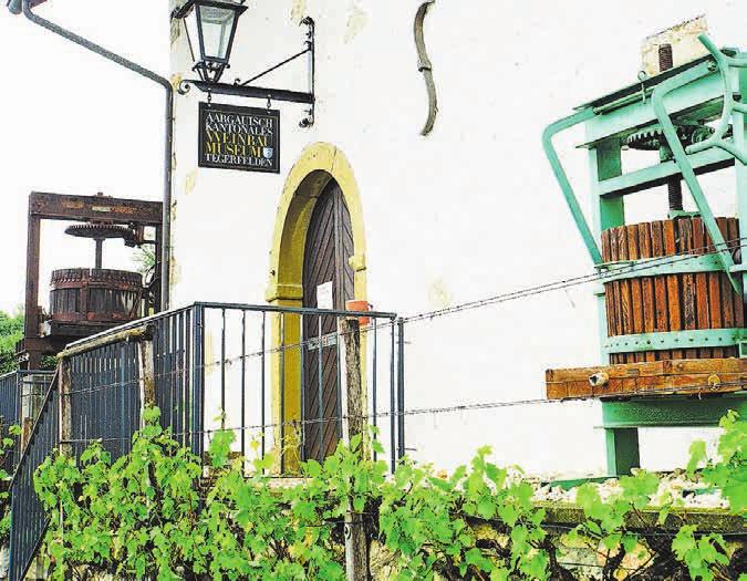 Der Weinkultur von einst und heute widmet sich das kantonale Weinbaumuseum. Der Weinkultur von einst und heute widmet sich das kantonale Weinbaumuseum.