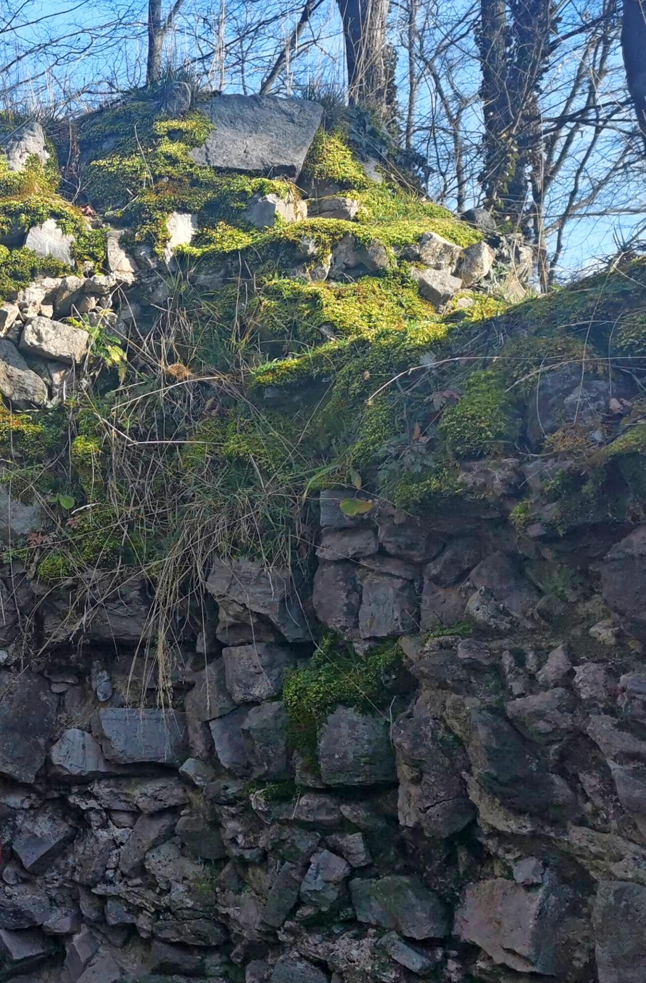Vermutlich im Mittelalter wurde die Burgruine Heimberg aufgegeben. Vermutlich im Mittelalter wurde die Burgruine Heimberg aufgegeben.
