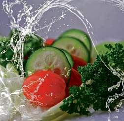 Auch leckeres Gemüse für meinen frischen Salat gibt es auf den hiesigen Bauernhöfen zu kaufen. Foto: Pixaby