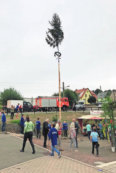 Der Kirmesbaum wird in diesem Jahr gemeinsam mit Pfarrer Oertel geschmückt. Foto: Verein Der Kirmesbaum wird in diesem Jahr gemeinsam mit Pfarrer Oertel geschmückt. Foto: Verein