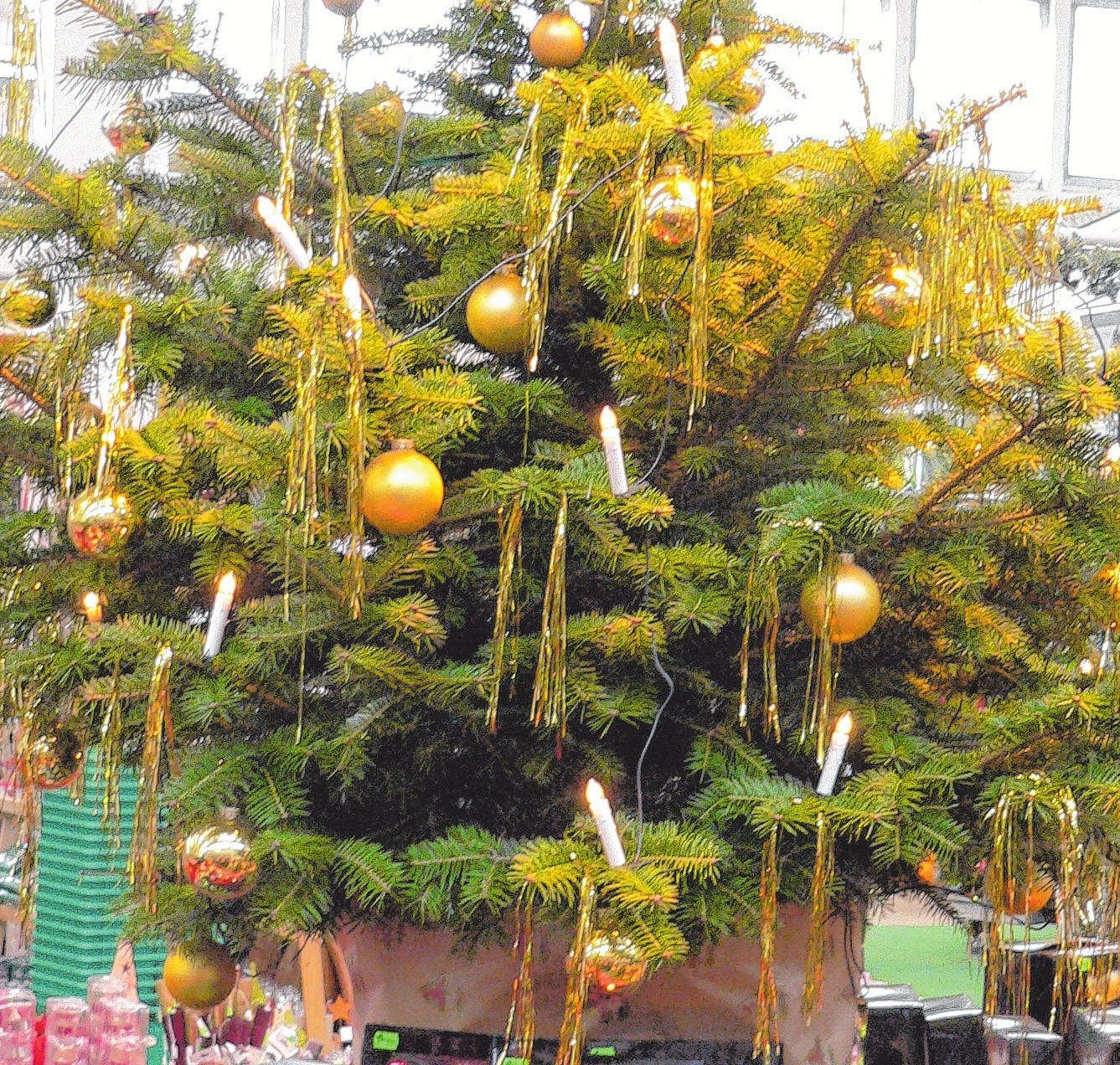 Die Bäume sind geschmückt. Das Weihnachtsfest kann kommen. Foto:dh Die Bäume sind geschmückt. Das Weihnachtsfest kann kommen. Foto:dh