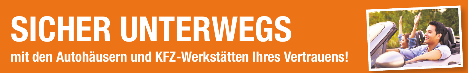 Hitze im Auto kann gefährlich werden Image 1 Hitze im Auto kann gefährlich werden Image 1