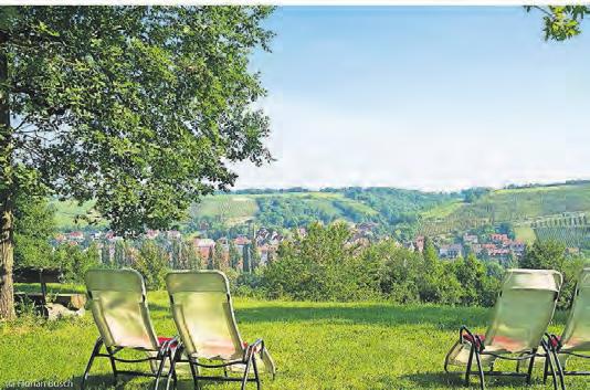 Garten und Terrasse laden zum entspannten Genießen ein. Garten und Terrasse laden zum entspannten Genießen ein.