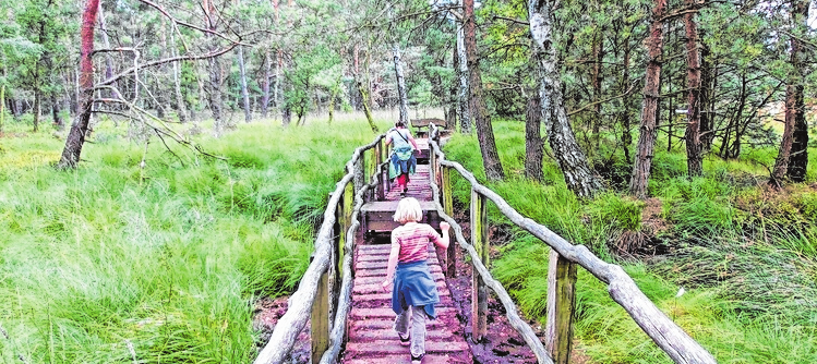 Der Wanderweg Nordpfad Dör’t Moorhat zum ersten Mal das Siegel „Qualitätsweg Wanderbares Deutschland“ erhalten. FOTO: TOURISTIKVERBAND LANDKREIS ROTENBURG (WÜMME)/MAG Der Wanderweg Nordpfad Dör’t Moorhat zum ersten Mal das Siegel „Qualitätsweg Wanderbares Deutschland“ erhalten. FOTO: TOURISTIKVERBAND LANDKREIS ROTENBURG (WÜMME)/MAG