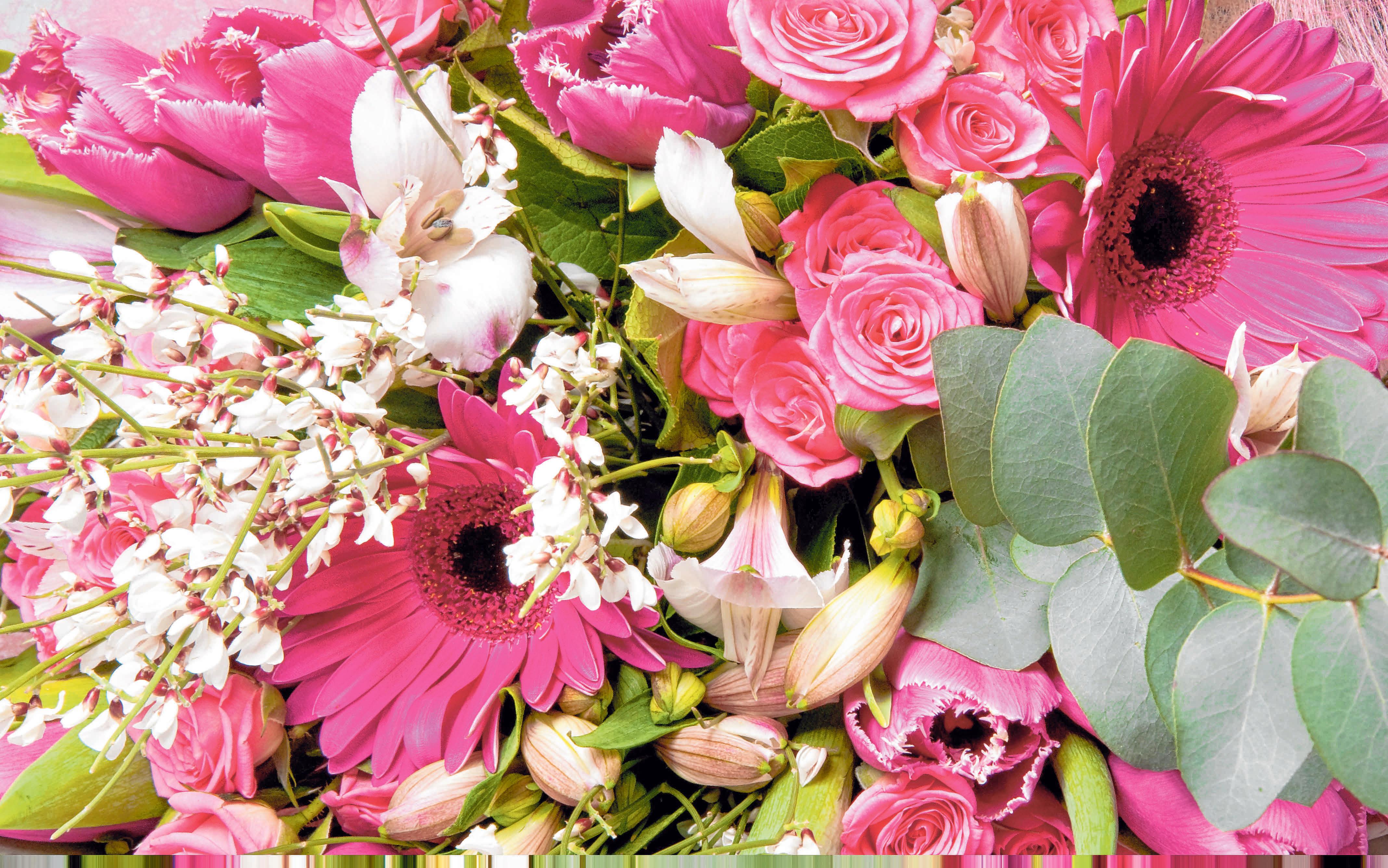 FOTO: COLOURBOx FOTO: COLOURBOx