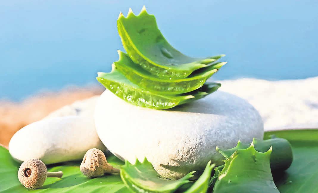 Naturahaus: Lieblingsprodukte und Naturkosmetik zu tollen Preisen. Naturahaus: Lieblingsprodukte und Naturkosmetik zu tollen Preisen.