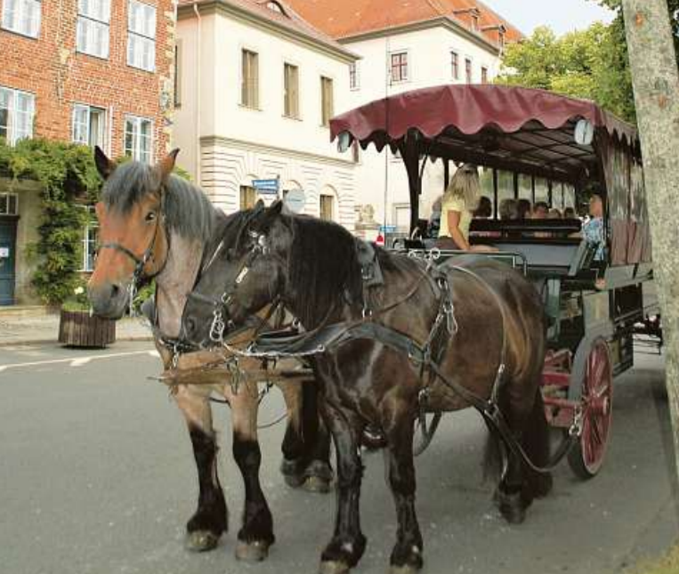 Auf die bequeme Tour und energiefreundlich lässt sich Lüneburg auch mit zwei Pferdestärken erkunden