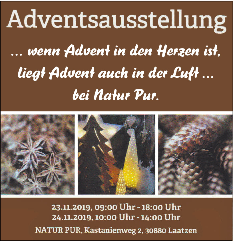 Natur Pur Blumen im Heidfeld Natur Pur Blumen im Heidfeld