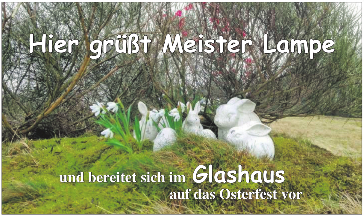 Glashaus Glashaus