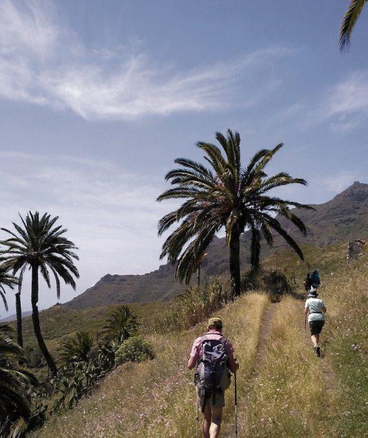Bild: © Wanderjule Teneriffa Bild: © Wanderjule Teneriffa