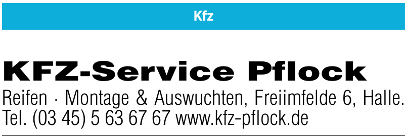 Kfz-Service Pflock Kfz-Service Pflock