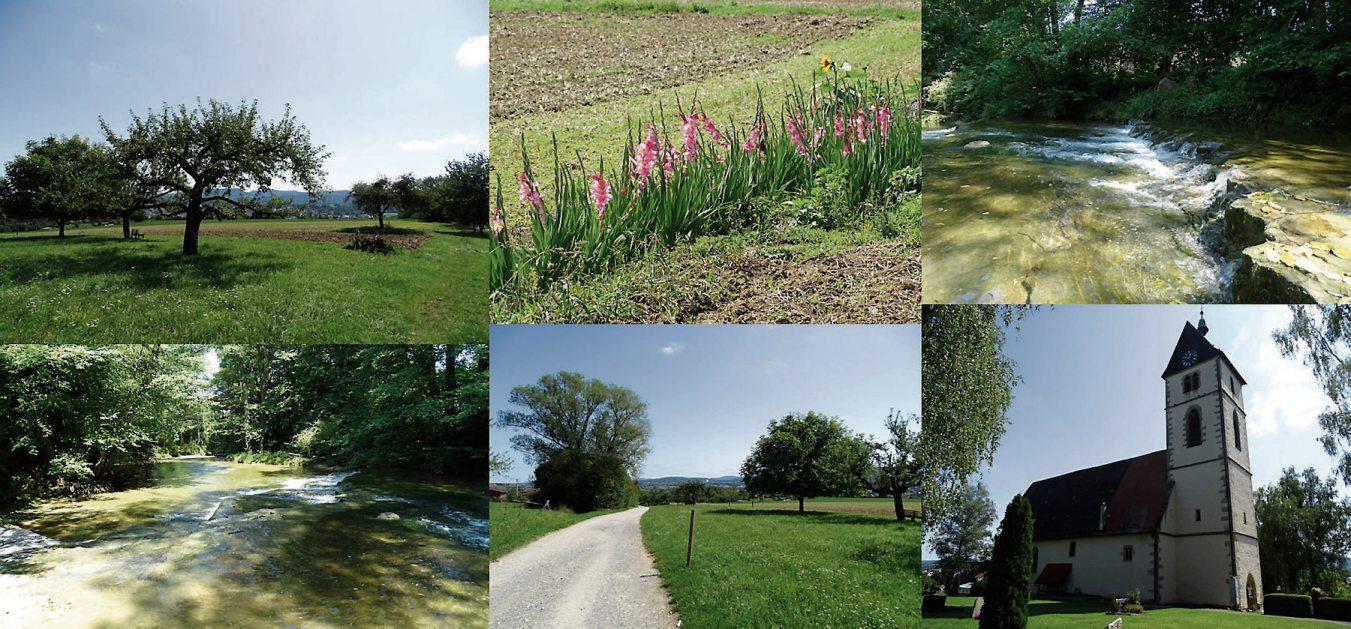 Blick in die Zukunft Image 14 Blick in die Zukunft Image 14