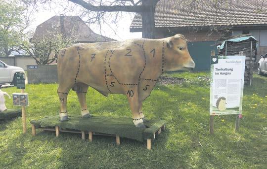 Gutschein für besondere Erlebnismomente im Aargau Image 4 Gutschein für besondere Erlebnismomente im Aargau Image 4