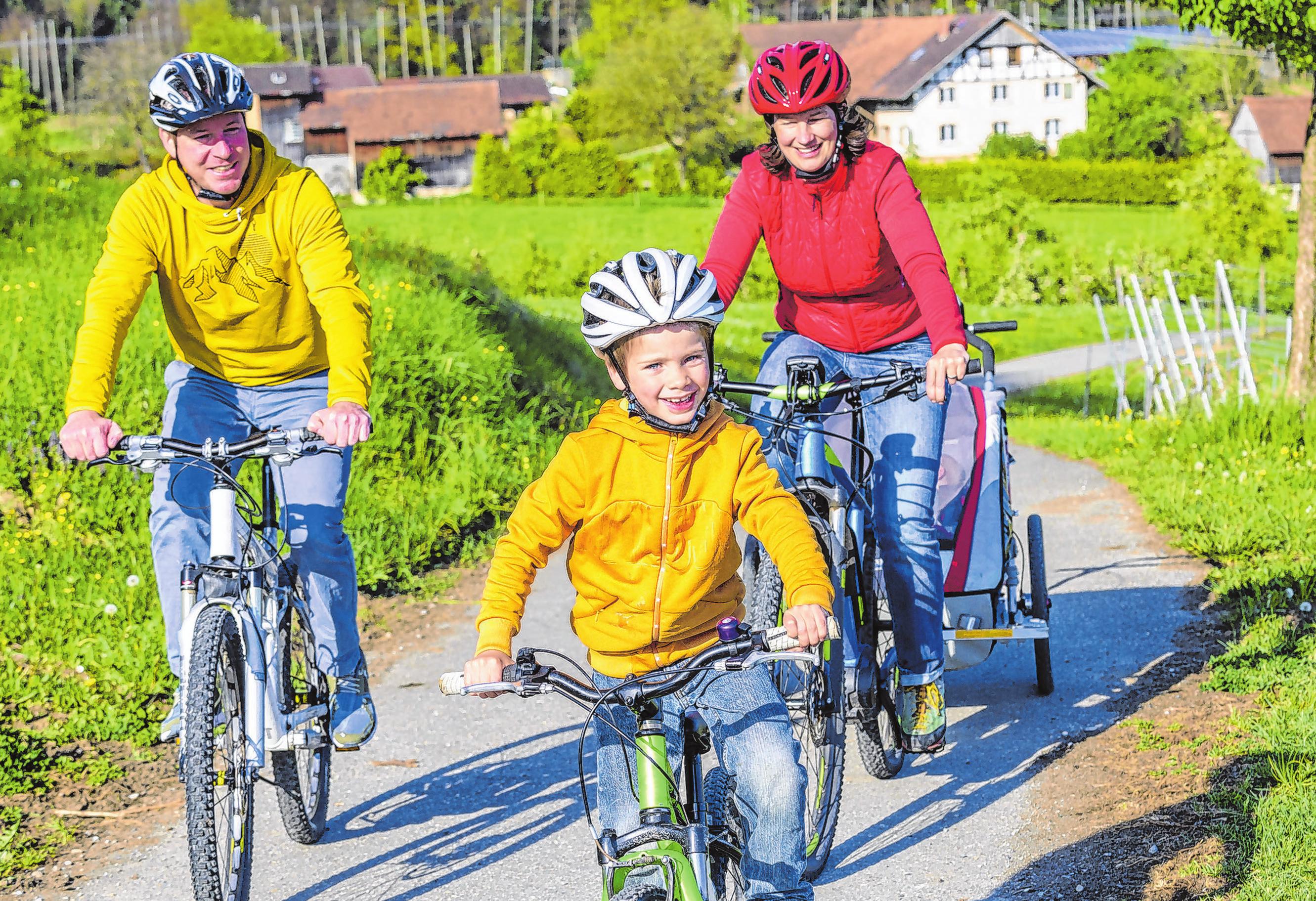 fahrrad füchse fürstenwalde