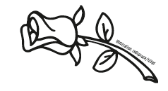 Illustration: redspruce/123RF Illustration: redspruce/123RF