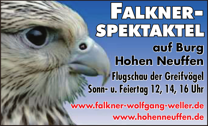 Falkner-Spektakel