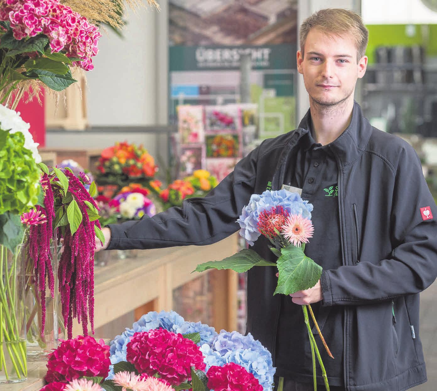 Mehr als ein Pflanzenexperte: Pascal Schneider wird im Gartencenter Stanze in Hemmingen zum Floristen ausgebildet. Mehr als ein Pflanzenexperte: Pascal Schneider wird im Gartencenter Stanze in Hemmingen zum Floristen ausgebildet.