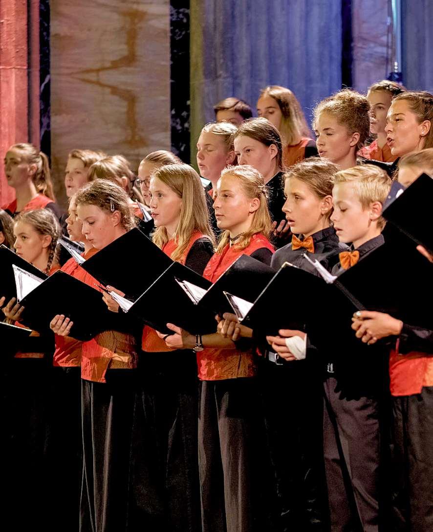 Zarte Klänge, harte Saite oder beides Image 2 Zarte Klänge, harte Saite oder beides Image 2
