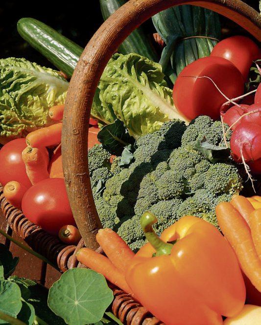 Gut und gesund Image 2 Gut und gesund Image 2