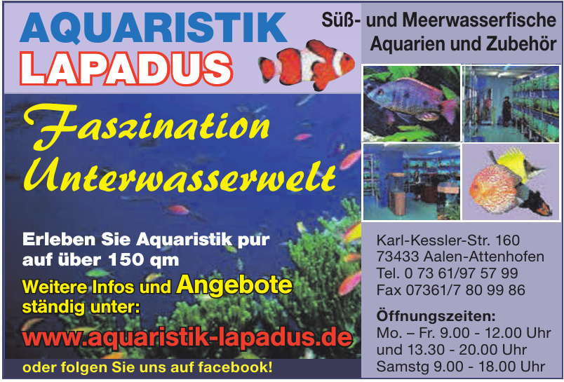 Aquaristik Lapadus